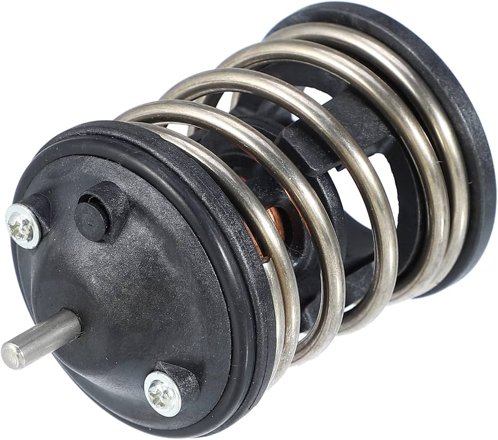 TERMOSTATO BMW